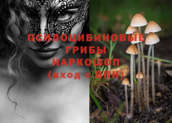амф Лабытнанги