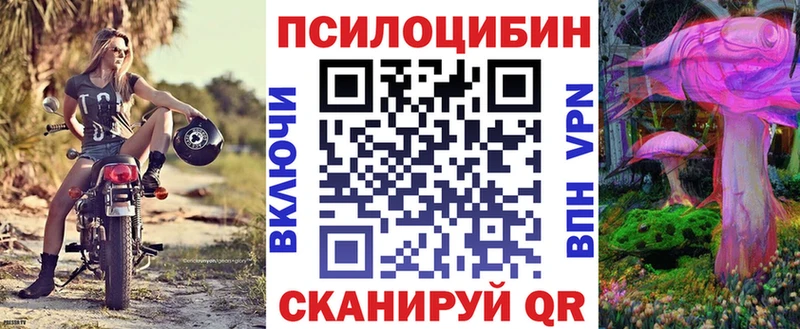 Псилоцибиновые грибы мицелий  Кувандык 